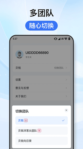 贝锐洋葱头[图1]