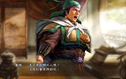 三国志13姜维什么