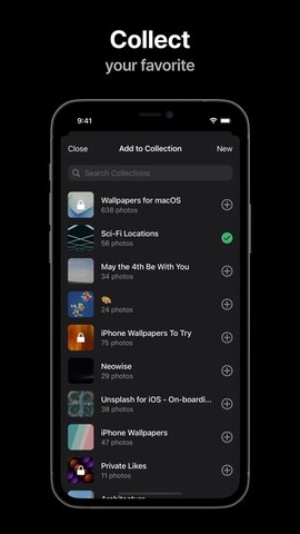 unsplash中文版[图1]