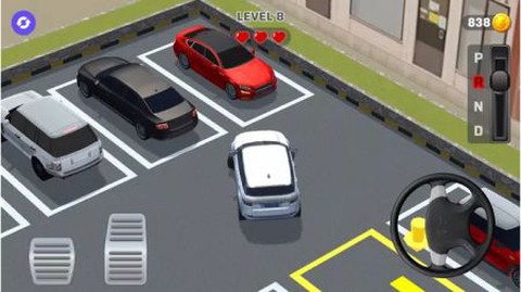 真正的城市停车场图3