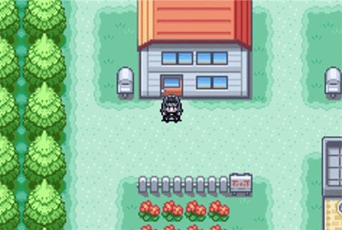 口袋妖怪火红图2