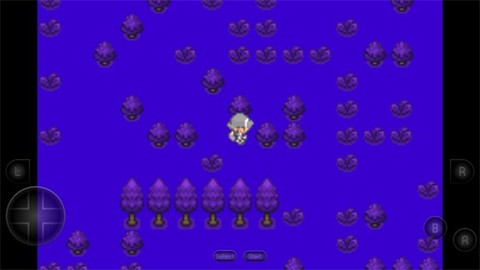 口袋妖怪生与死[图1]