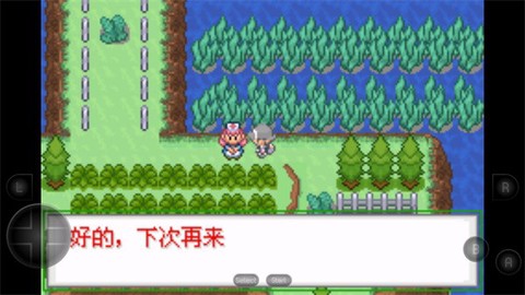 口袋妖怪生与死[图3]