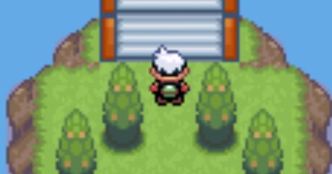 口袋妖怪·新罪恶世界[图1]