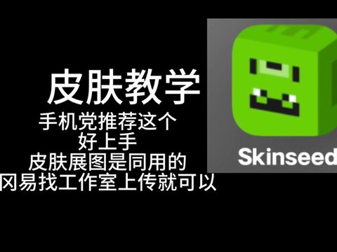 我的世界怎么加皮肤