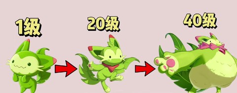 洛克王国喵喵什么性格