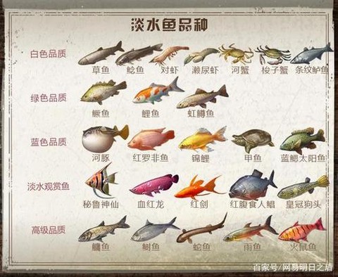 明日之后怎么钓鲨鱼