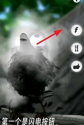 会说话的拉里鸟[图1]