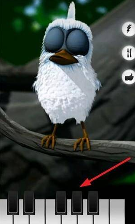 会说话的拉里鸟[图4]