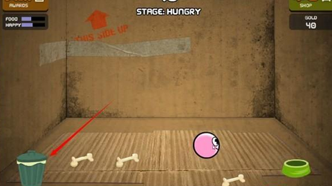 养只宠物球[图2]