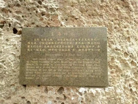 九阴真经如何加入桃花岛