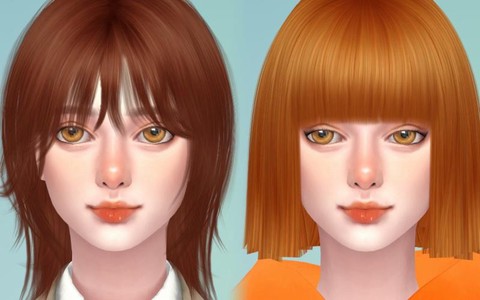 模拟人生4橘子是什么[图2]