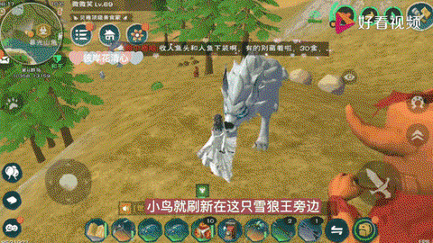 创造与魔法云斑鹦鸟位置在哪