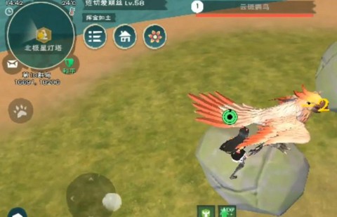 创造与魔法云斑鹦鸟位置在哪[图2]