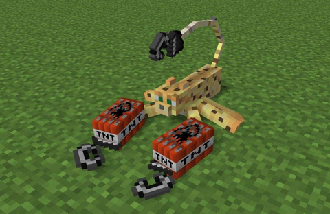 我的世界豹猫怎么骑