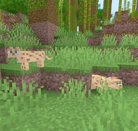 我的世界豹猫怎么骑[图1]