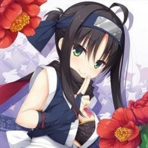 千恋万花汉化版[图2]