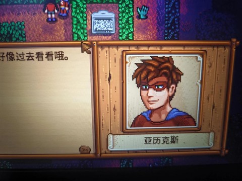 星露谷物语怎么接吻