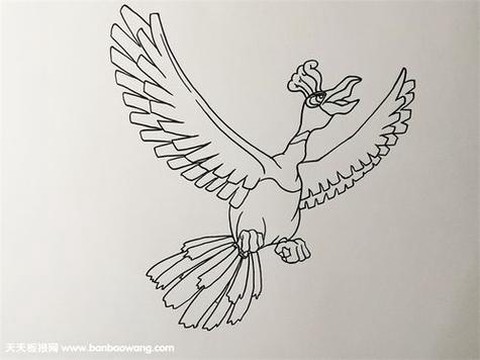 神奇宝贝凤王怎么画