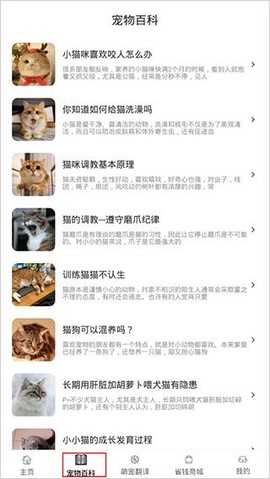 宠物猫狗交流[图3]