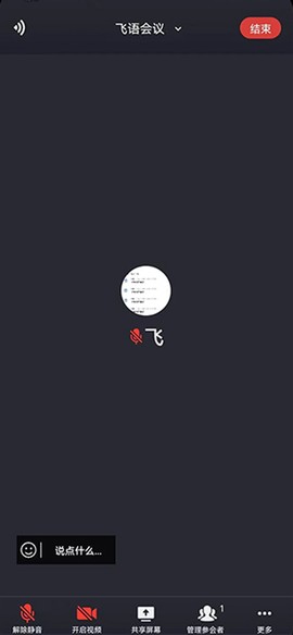 飞语会议[图5]