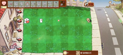 小白大战小鸡毛[图3]