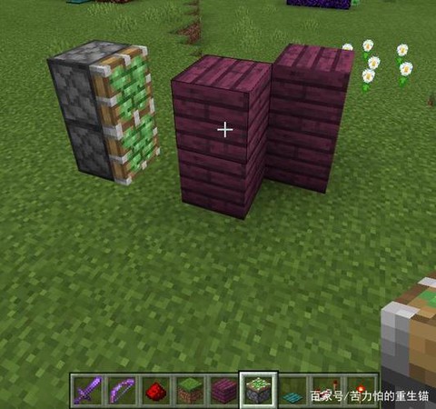 我的世界隐形门怎么做