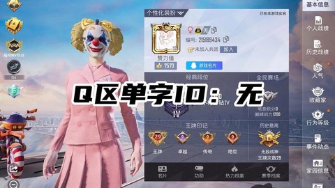 绝地求生id是什么