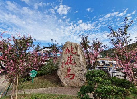 九阴真经桃花岛怎么样