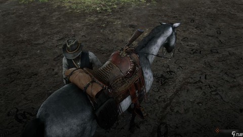 荒野大镖客什么马鞍好[图2]