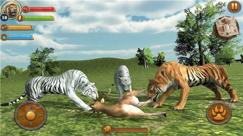 丛林老虎模拟器图1