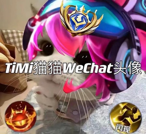 王者荣耀猫神叫什么[图1]