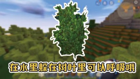 迷你世界树叶能做什么