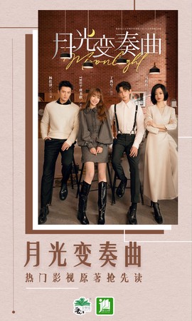 晋江小说阅读图3