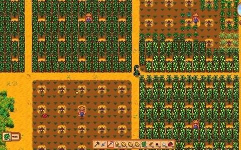 星露谷物语夏季种什么