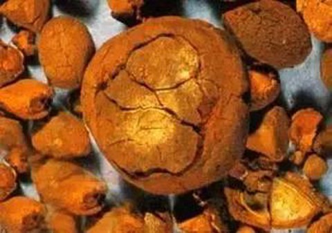 九阴真经牛黄有什么用[图1]