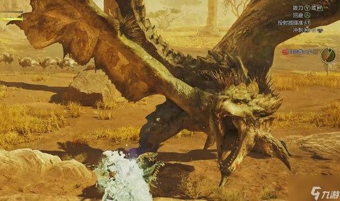 怪物猎人雌火龙弱什么[图2]