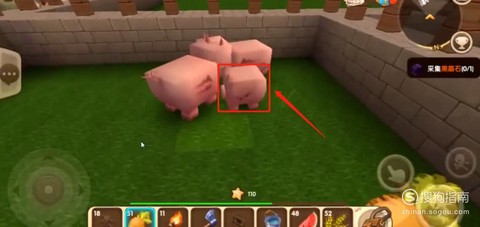 迷你世界猪有什么用