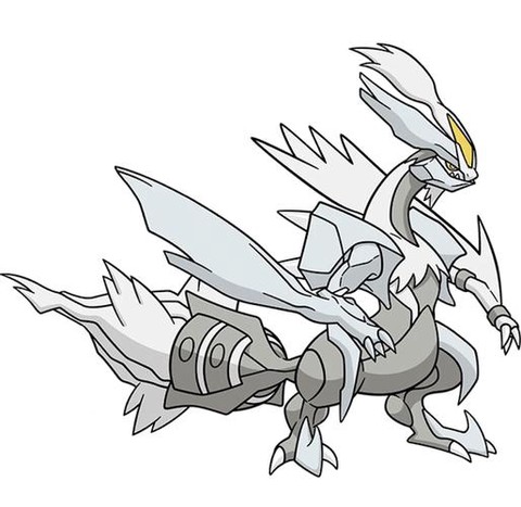 口袋妖怪酋雷姆怎么抓[图2]