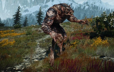 巫师3狼人无限回血怎么杀[图1]