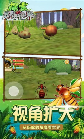 探索昆虫世界图3