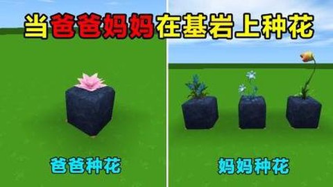 迷你世界如何种花种子