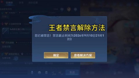 王者荣耀怎么解除禁言