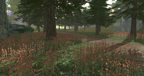 我穿越到灵界图2