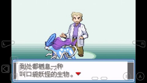 口袋妖怪噩梦的插曲随机版图3