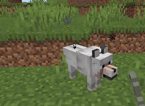 我的世界手机版怎么驯服狼[图1]