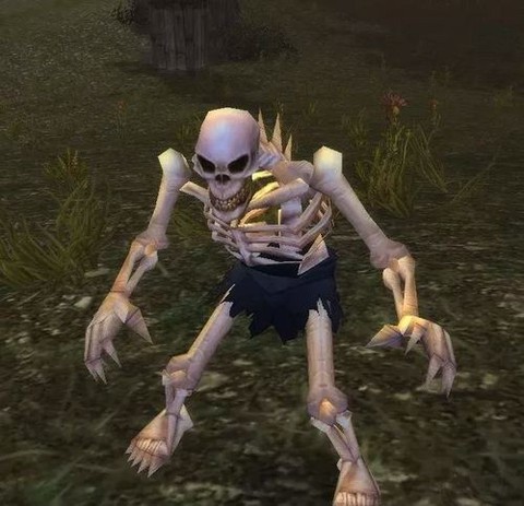 魔兽世界怎么变成骷髅