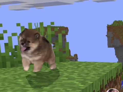 我的世界狗怎么喝水