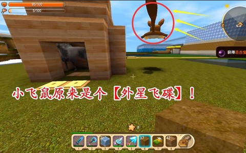 迷你世界怎么训小飞鼠