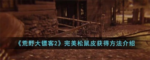 荒野大镖客2皮怎么用[图1]